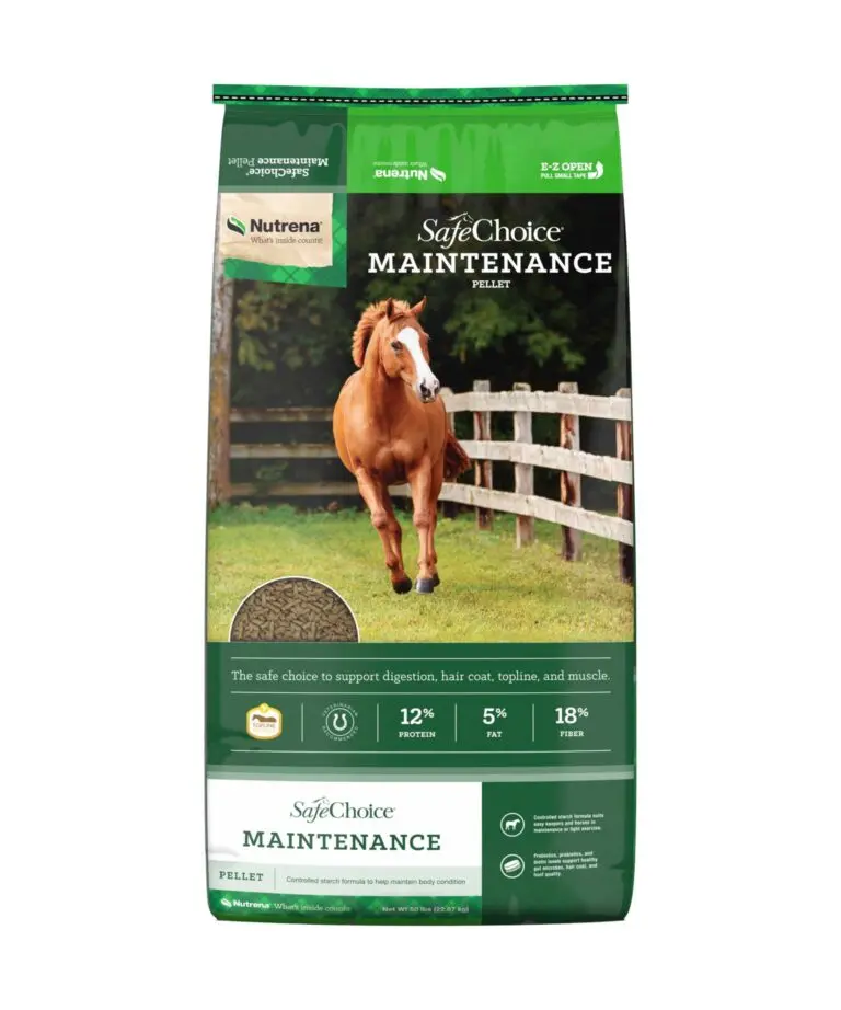 Safechoice Maintenance