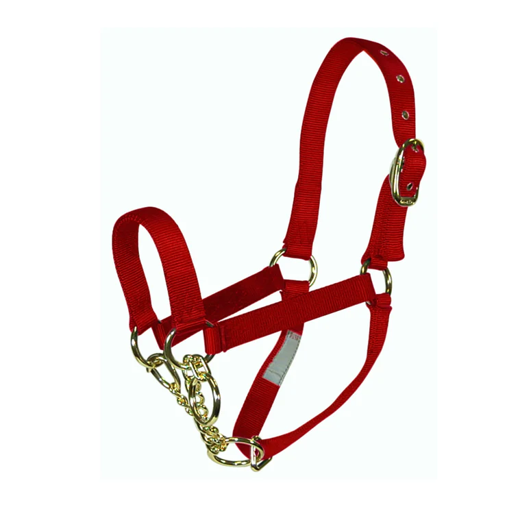 15 P Nylon Yearling Control Halter with Chain 1 in Red