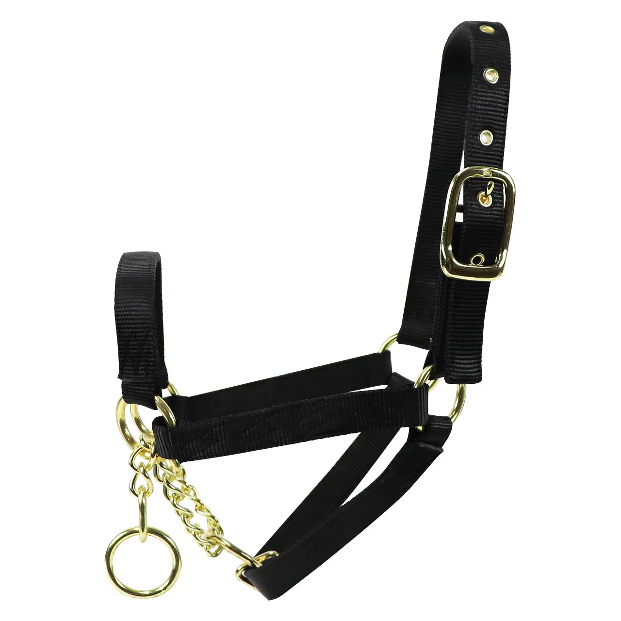 15 P Nylon Yearling Control Halter with Chain 1 in Black