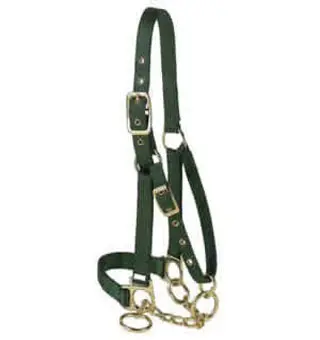 13 P Nylon Control Calf Halter with Chain 1 in Green