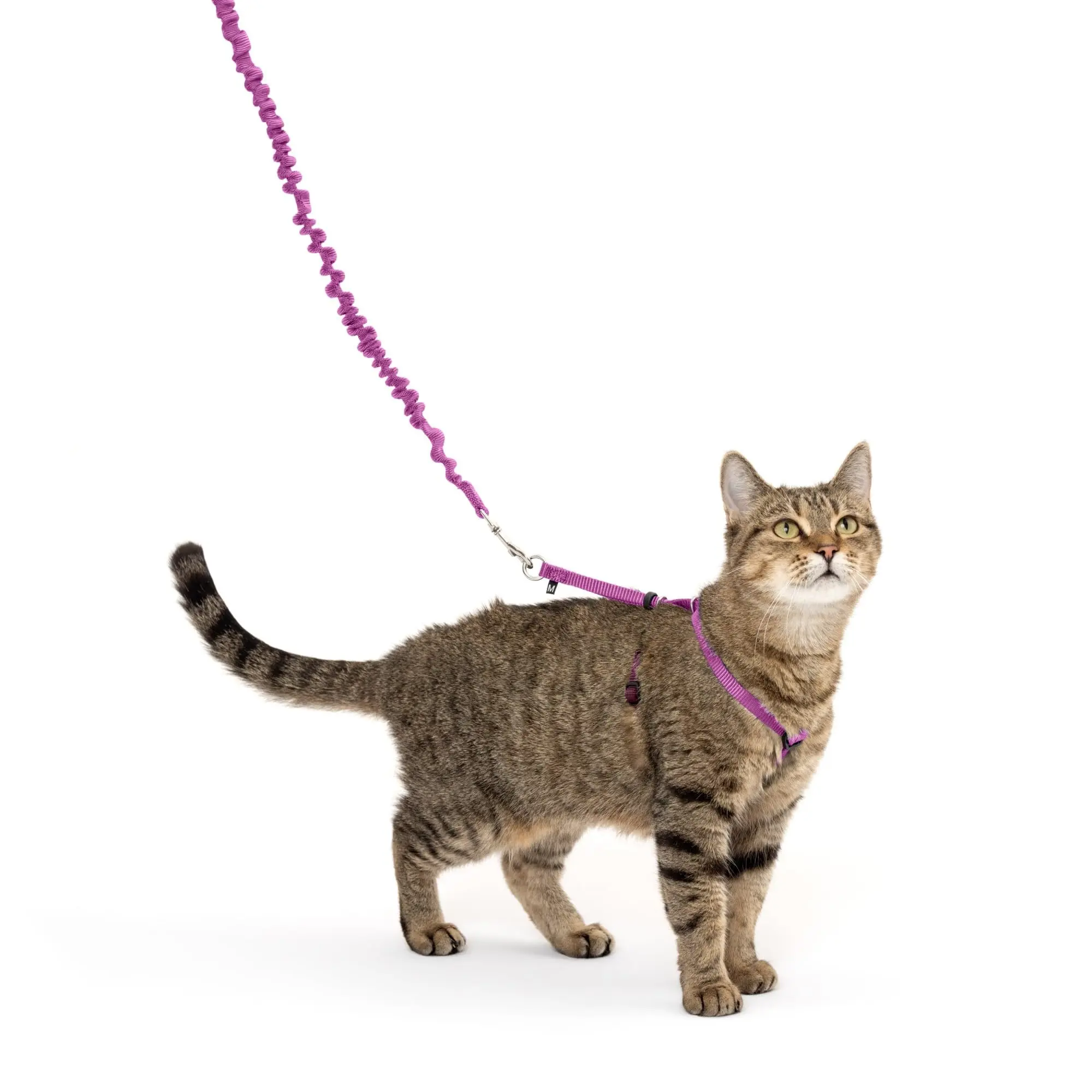 Petsafe Premier Come with Me Kitty Harness & Bungee Leash Combo Dusty Rose / Burgundy Lg