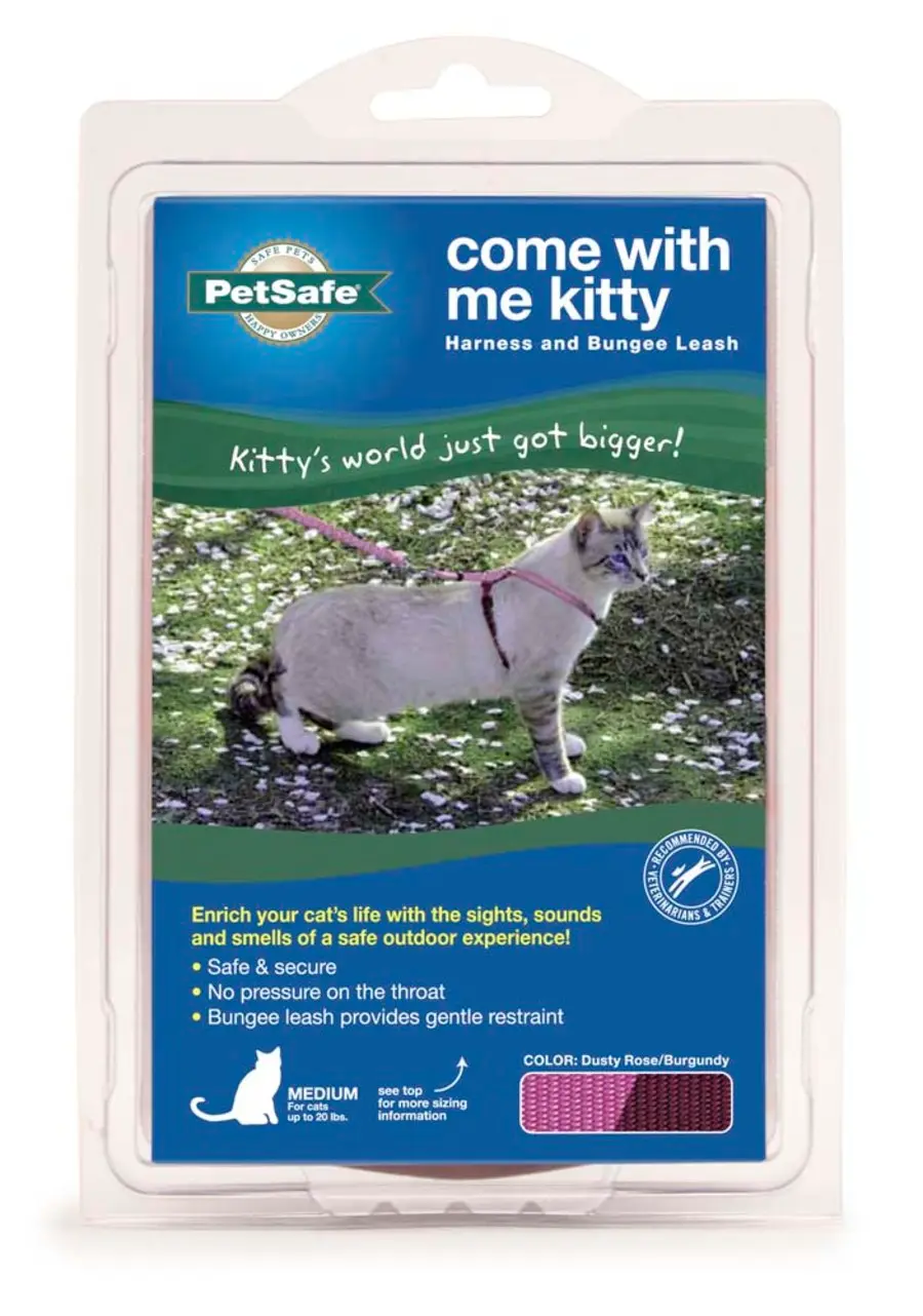 Petsafe Premier Come with Me Kitty Harness & Bungee Leash Combo Dusty Rose / Burgundy Md
