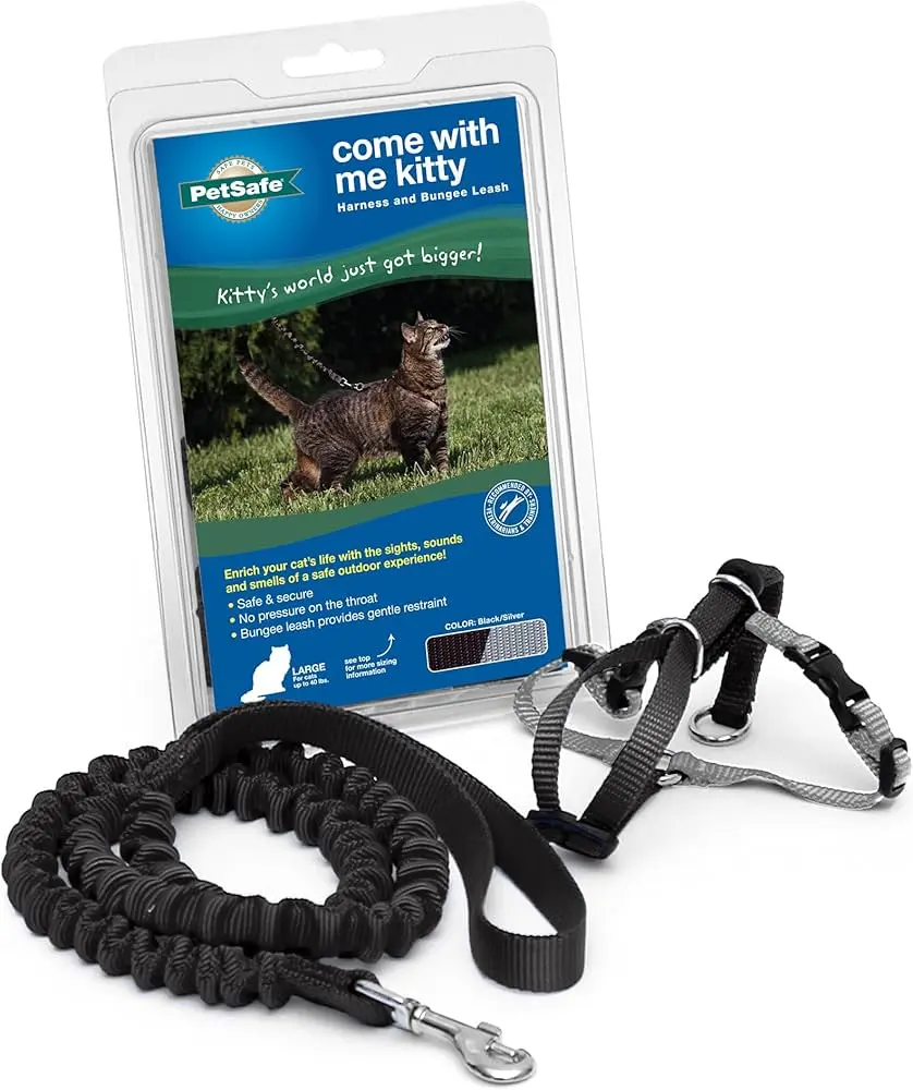Petsafe Premier Come with Me Kitty Harness & Bungee Leash Combo Black Lg