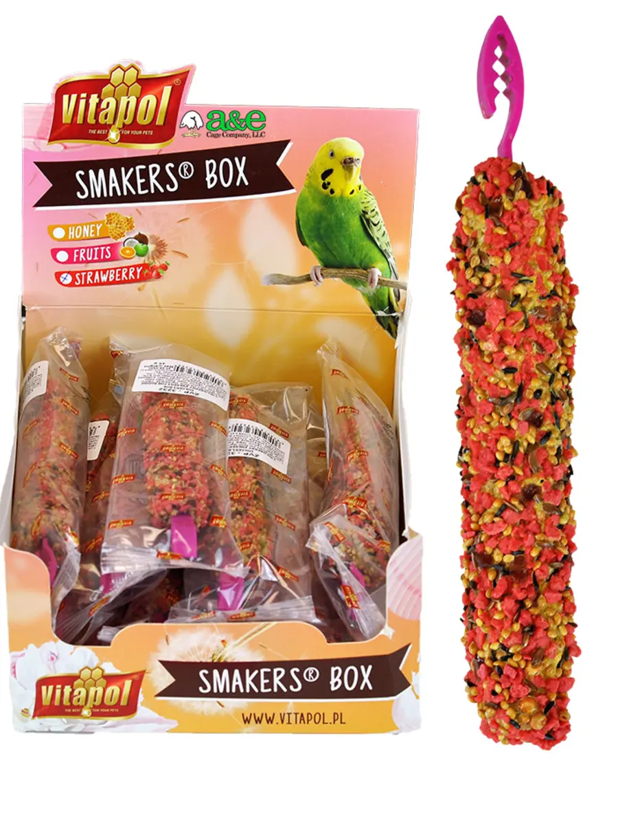 A & E Cages Smakers Snack Strawberry Treat Stick for Parakeets