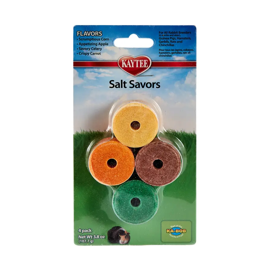 4 Count Kaytee Salt Savor Mini