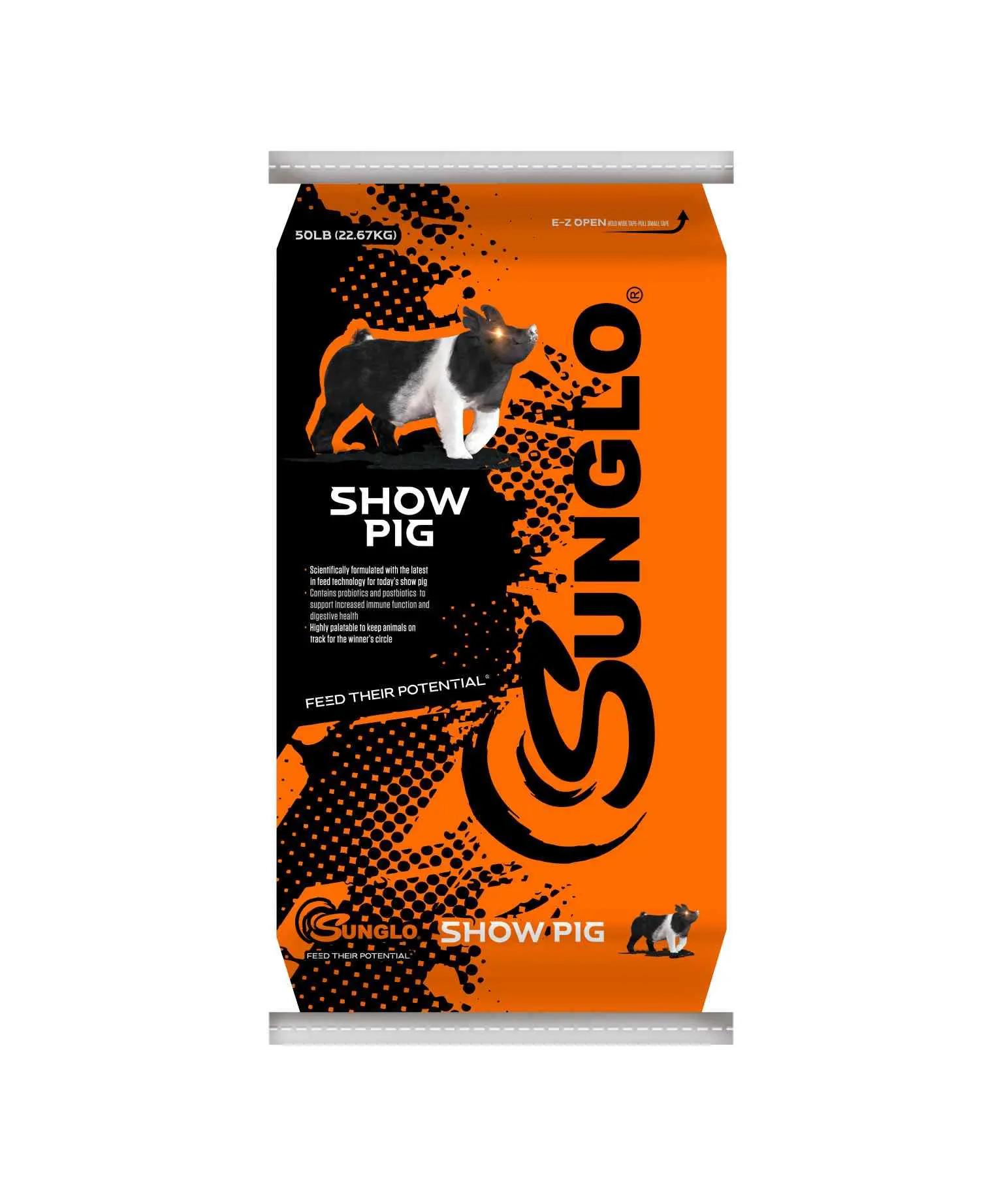 Sunglo Show Pig Complete
