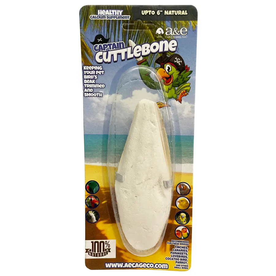 A & E Cages Natural Cuttlebone 6"
