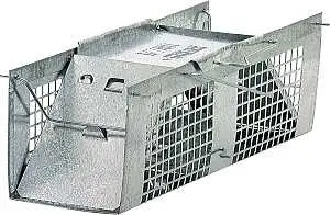 Havahart Small Animal Trap, 3 in W, 3 in H, Gravity-Action Door