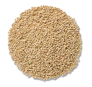 Millet White Proso - 25 lb