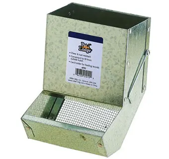 Metal Small Animal Feeder with Sifter Bottom - 5in