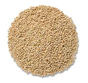 Millet White Proso - 50 lb