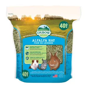 Oxbow Alfalfa Hay for Small Pets 40-oz