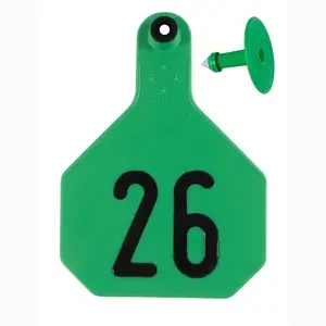 Green All American 4 * Combo Numbered 26-50