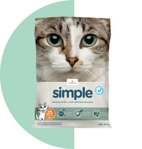 40 lb Intersand Simple Cat Litter