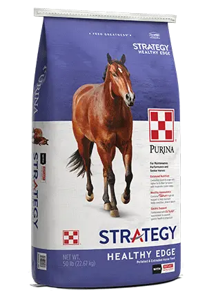 Strategy Healthy Edge