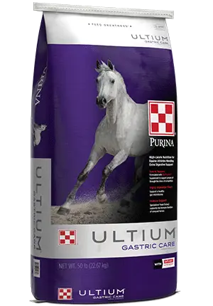 Purina Ultium Gastric Care