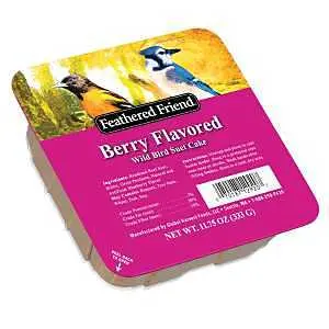 Audubon Park Berry Treat Suet 11.7 5 oz