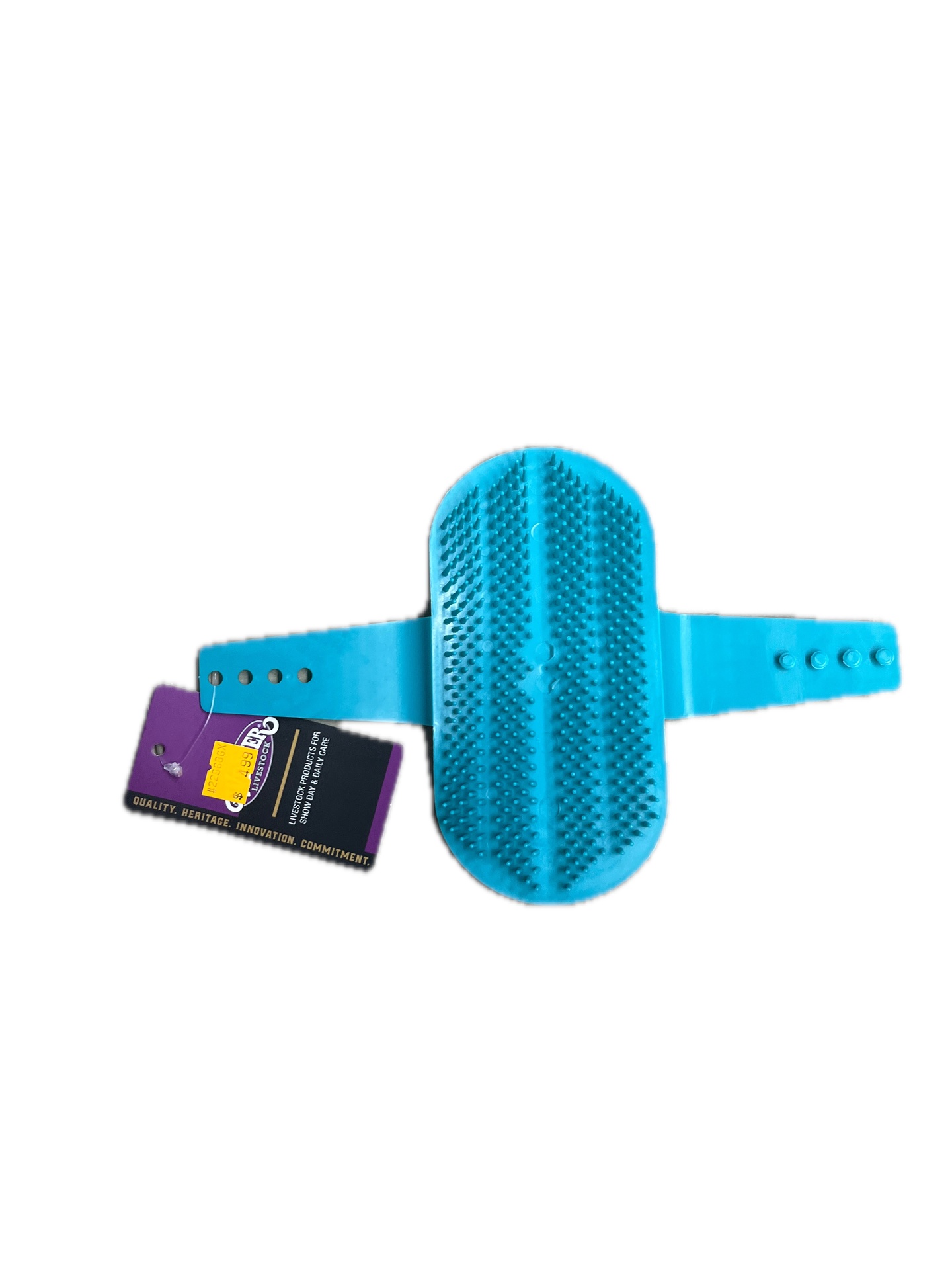 Teal Massage Brush