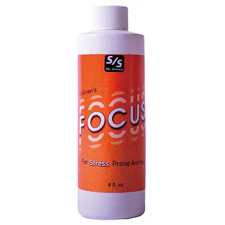 Sullivans Focus 8 Fl oz