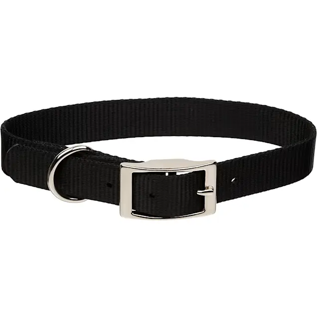 380 Single Layer Puppy Collar Nylon 8 in X 3 / 8 in Black