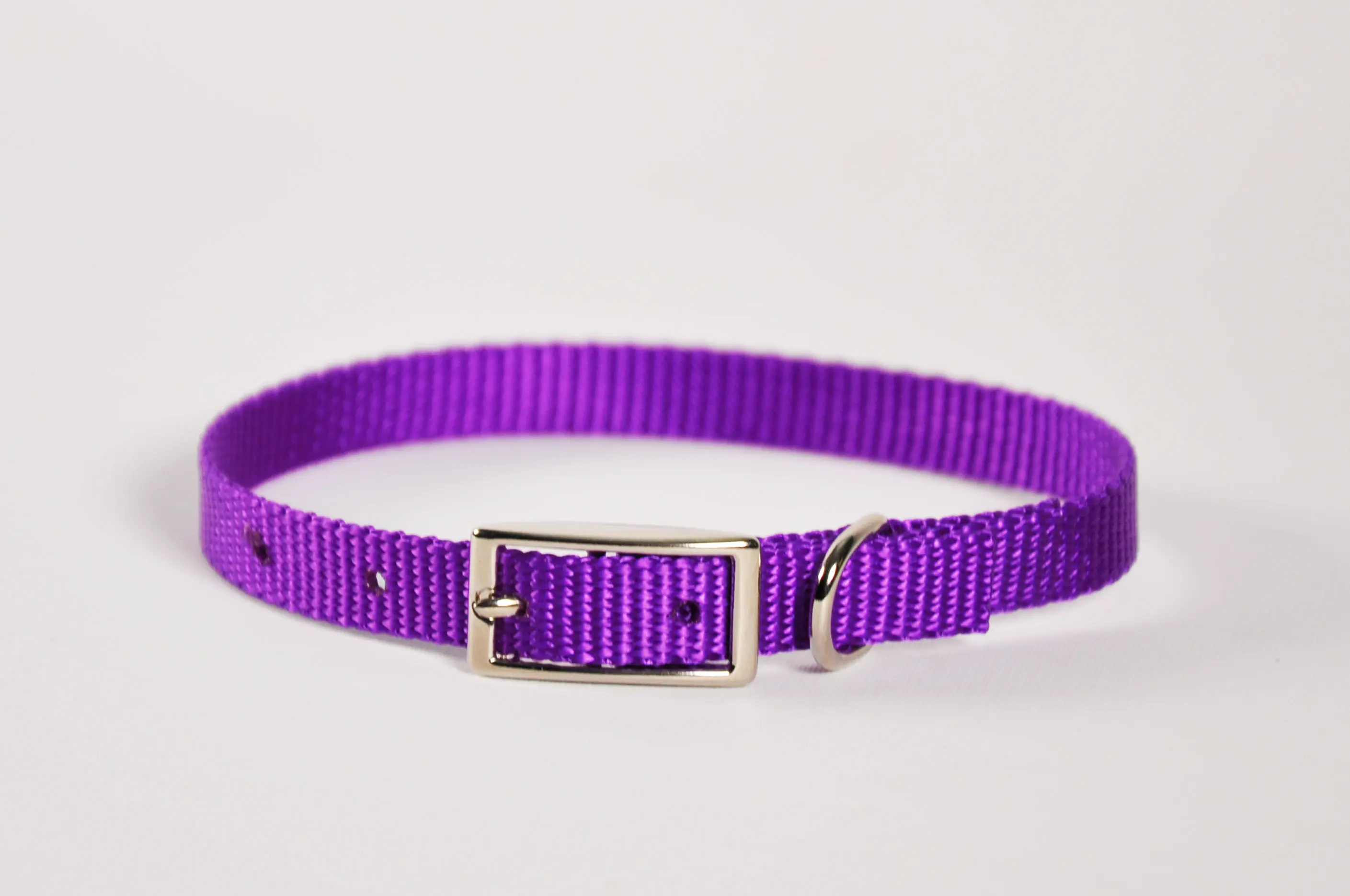 380 Single Layer Puppy Collar Nylon 8 in X 3 / 8 in Purple