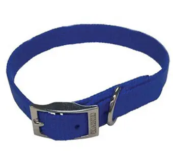 380 Single Layer Puppy Collar Nylon 10 in X 3 / 8 in Blue