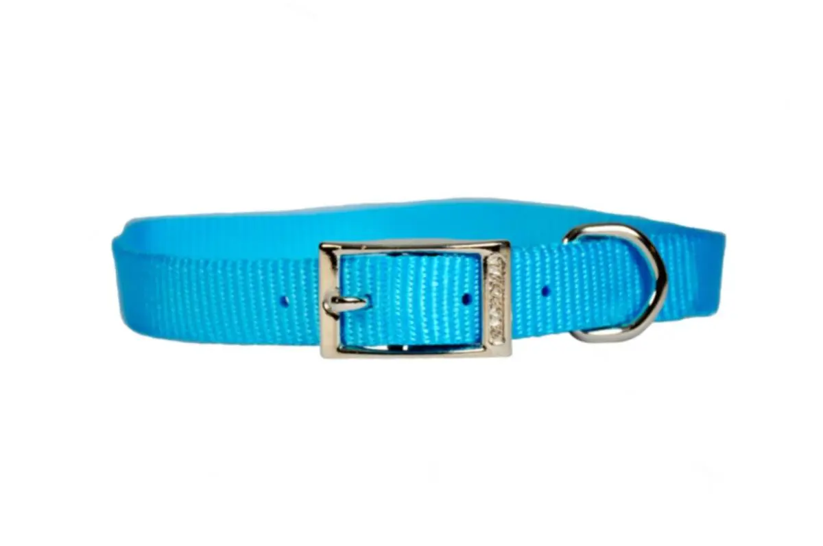 380 Single Layer Puppy Collar Nylon 10 in X 3 / 8 in Turquoise