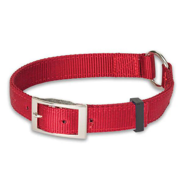 720 Single Layer Dog Collar Nylon 14 in X 5 / 8 in Red