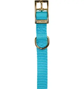 Valhoma Premium Single Layer Nylon Dog Collar 14 in Turquoise