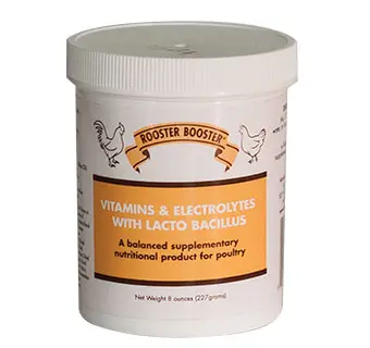 Rooster Booster Vitamins / Electrolytes with Lactobacillus 8 oz